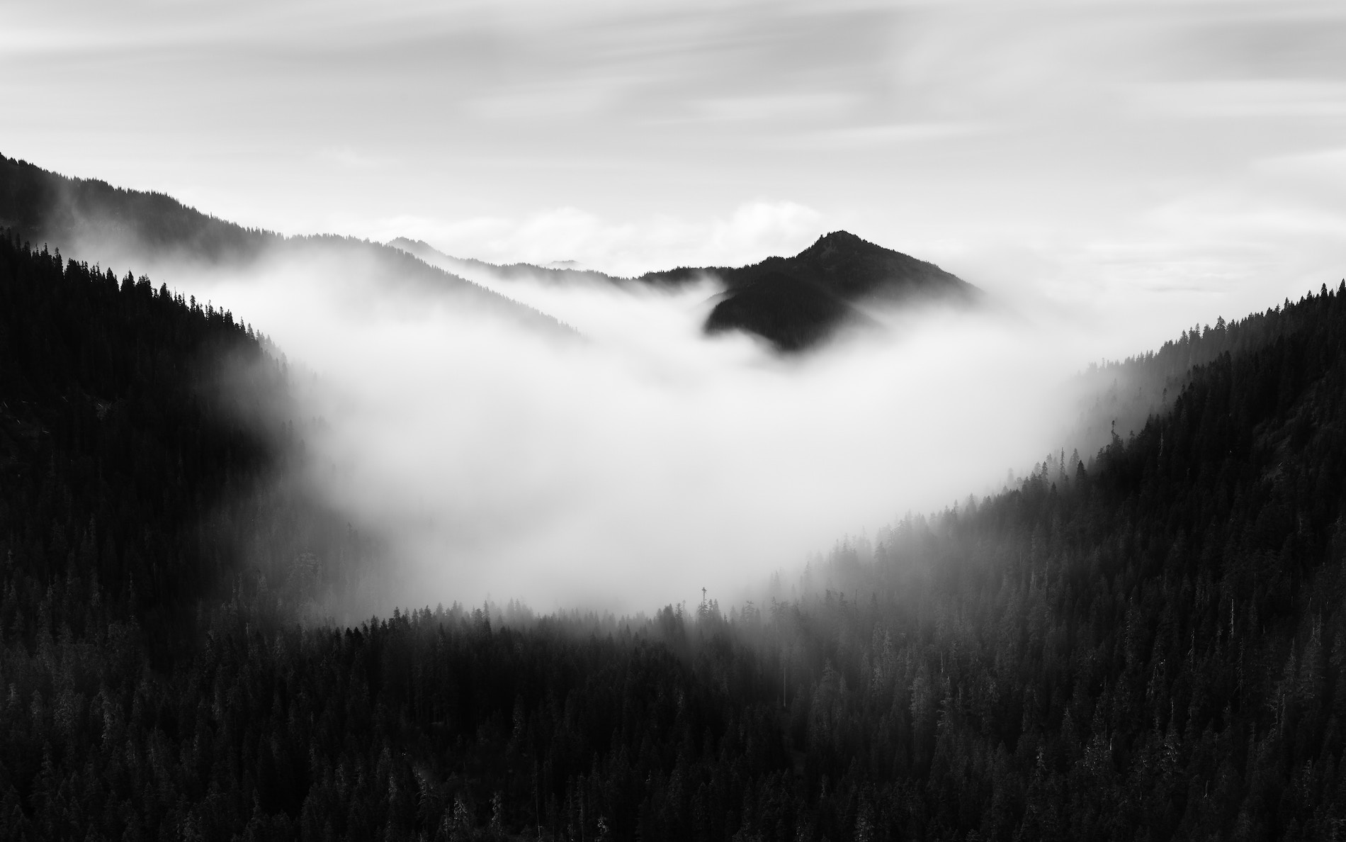 Featured project